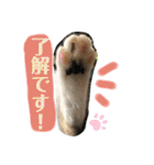 ふくちゃんまん（個別スタンプ：7）