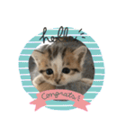 ふくちゃんまん（個別スタンプ：11）