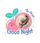 ふくちゃんまん（個別スタンプ：12）