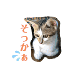 ふくちゃんまん（個別スタンプ：17）