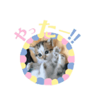 ふくちゃんまん（個別スタンプ：21）