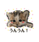 ふくちゃんまん（個別スタンプ：22）