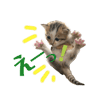 ふくちゃんまん（個別スタンプ：24）