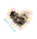 ふくちゃんまん（個別スタンプ：34）