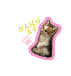 ふくちゃんまん（個別スタンプ：38）