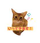 ソマリのスタンプ（個別スタンプ：15）