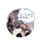 ベンガル キキちゃんのスタンプ（個別スタンプ：9）