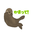 ラッコのあかちゃん（個別スタンプ：1）