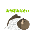 ラッコのあかちゃん（個別スタンプ：8）