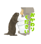 ラッコのあかちゃん（個別スタンプ：22）