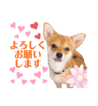 ロクすたんぷ3（個別スタンプ：1）