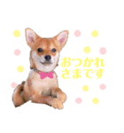 ロクすたんぷ3（個別スタンプ：2）