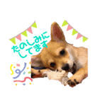 ロクすたんぷ3（個別スタンプ：3）