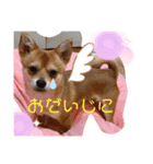 ロクすたんぷ3（個別スタンプ：4）