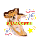 ロクすたんぷ3（個別スタンプ：5）