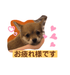 ロクすたんぷ3（個別スタンプ：6）