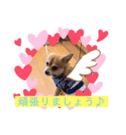 ロクすたんぷ3（個別スタンプ：7）