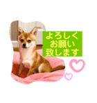 ロクすたんぷ3（個別スタンプ：8）