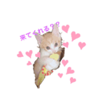 悩み猫（個別スタンプ：7）