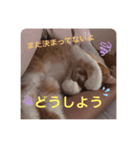 悩み猫（個別スタンプ：8）