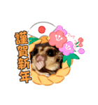 モモンガ 2021（個別スタンプ：1）