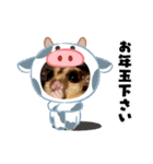 モモンガ 2021（個別スタンプ：4）