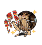 モモンガ 2021（個別スタンプ：8）