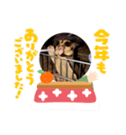 モモンガ 2021（個別スタンプ：11）