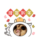 モモンガ 2021（個別スタンプ：13）