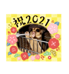 モモンガ 2021（個別スタンプ：16）