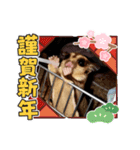 モモンガ 2021（個別スタンプ：20）