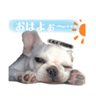 フレブルのぽーくちゃんブタンプ！！（個別スタンプ：2）