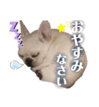 フレブルのぽーくちゃんブタンプ！！（個別スタンプ：3）