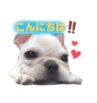 フレブルのぽーくちゃんブタンプ！！（個別スタンプ：4）
