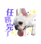 フレブルのぽーくちゃんブタンプ！！（個別スタンプ：7）