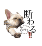 フレブルのぽーくちゃんブタンプ！！（個別スタンプ：12）