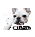 フレブルのぽーくちゃんブタンプ！！（個別スタンプ：14）