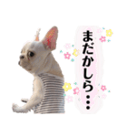 フレブルのぽーくちゃんブタンプ！！（個別スタンプ：28）