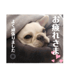 フレブルのぽーくちゃんブタンプ！！（個別スタンプ：29）