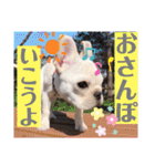 フレブルのぽーくちゃんブタンプ！！（個別スタンプ：31）