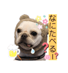 フレブルのぽーくちゃんブタンプ！！（個別スタンプ：39）