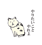 the おこめマン(z)の作ったスタンプ（個別スタンプ：14）