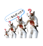 ねこミルク（個別スタンプ：27）