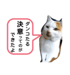 ねこミルク（個別スタンプ：32）