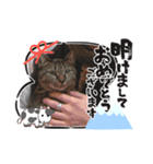 saa_20201202161358（個別スタンプ：1）