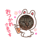 saa_20201202161358（個別スタンプ：6）