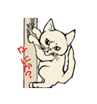 真っ白猫の小雪さん（個別スタンプ：2）