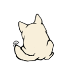 真っ白猫の小雪さん（個別スタンプ：5）