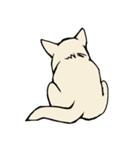 真っ白猫の小雪さん（個別スタンプ：8）