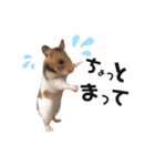 4本足のおともだち ！！（個別スタンプ：18）